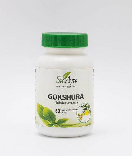 Gokshura