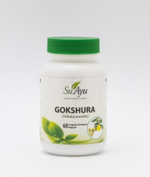Gokshura